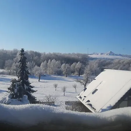 Ferienwohnung Zur Saaleaue Wettin Buitenkant foto