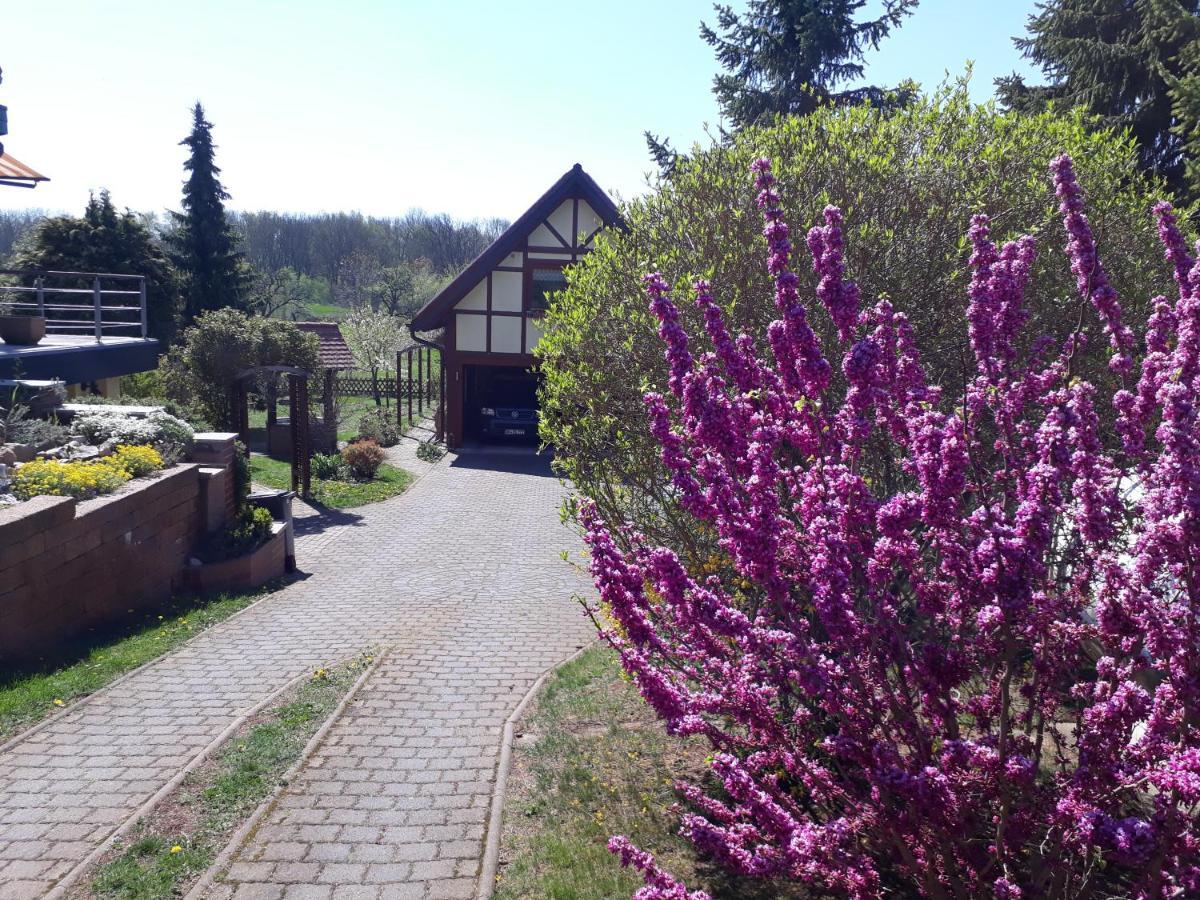 Apartment Zur Saaleaue *