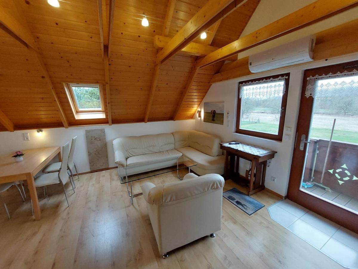Zur Saaleaue Apartment