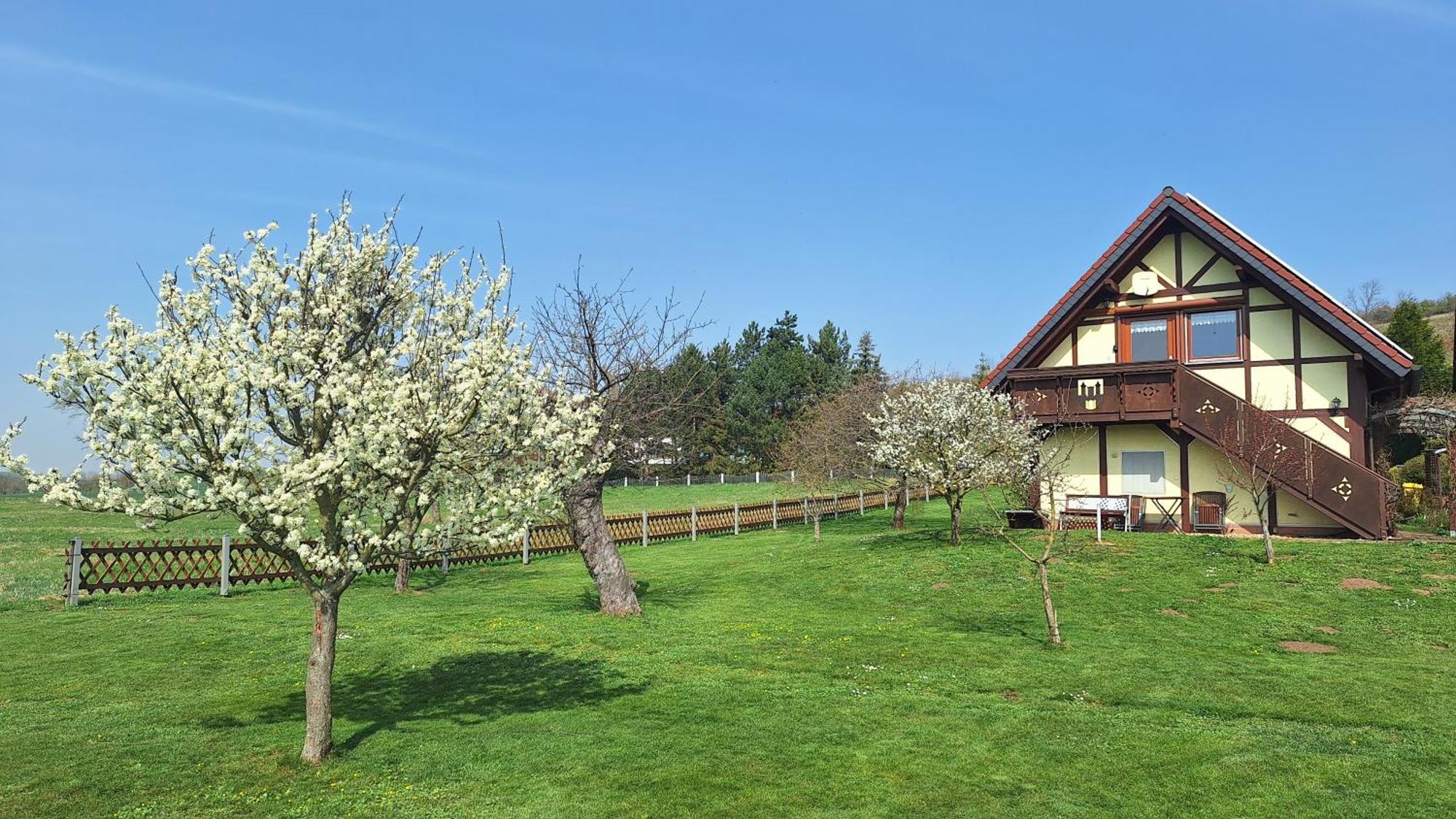 Apartment Zur Saaleaue Wettin